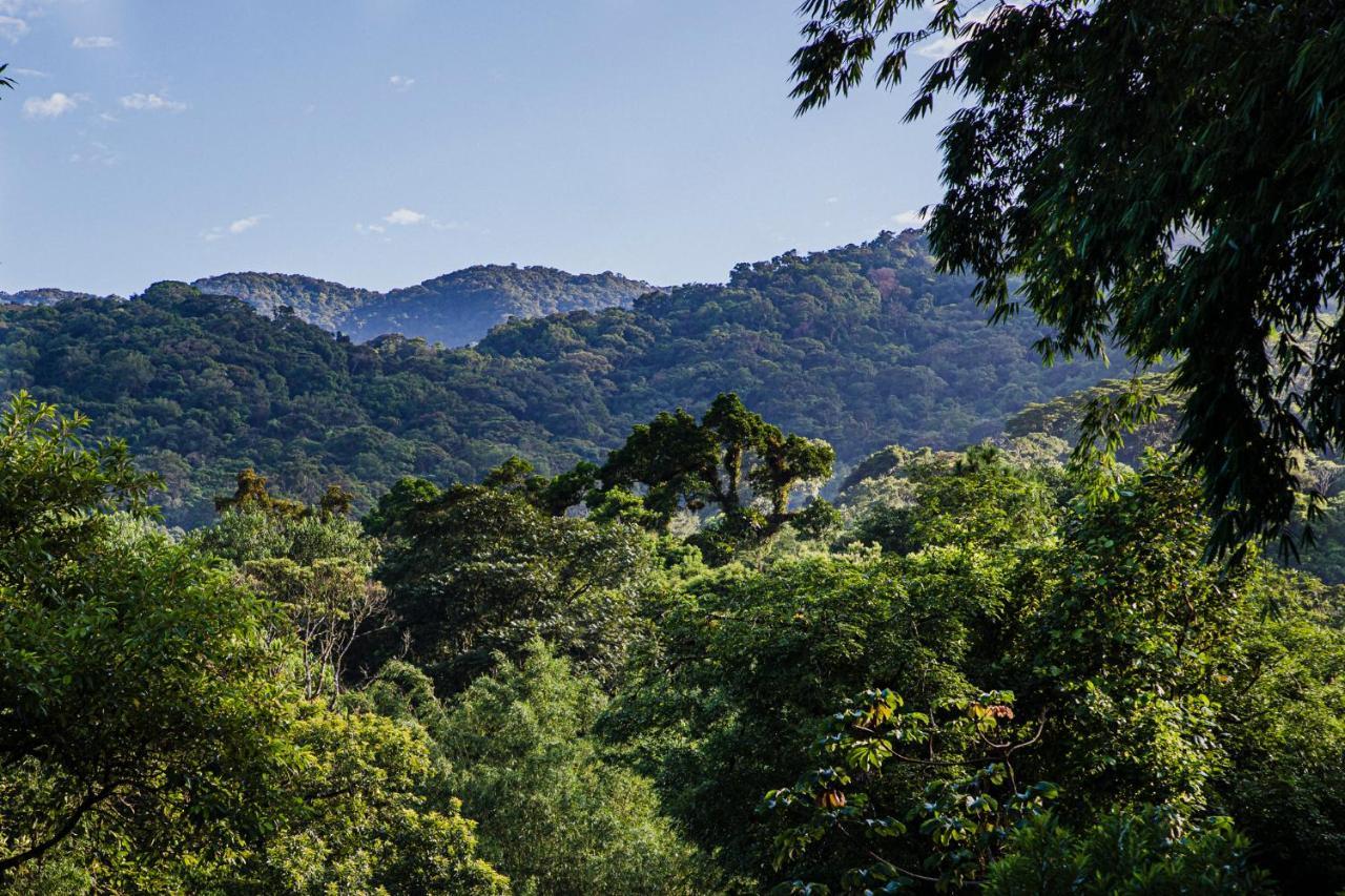 Отель Casa Bacarira - Floresta Com Yoga E Cafe Da Manha Vegano Камбури Экстерьер фото