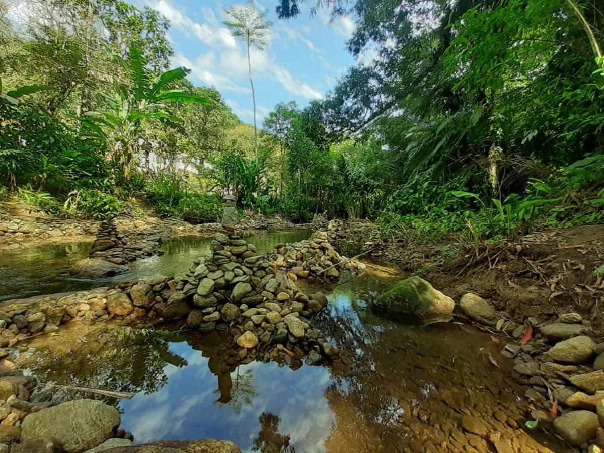 Отель Casa Bacarira - Floresta Com Yoga E Cafe Da Manha Vegano Камбури Экстерьер фото